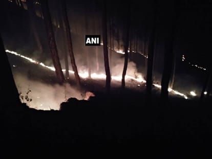 wildfire broke out in uttarakhand pithoragarh on summers rare Herbs burn