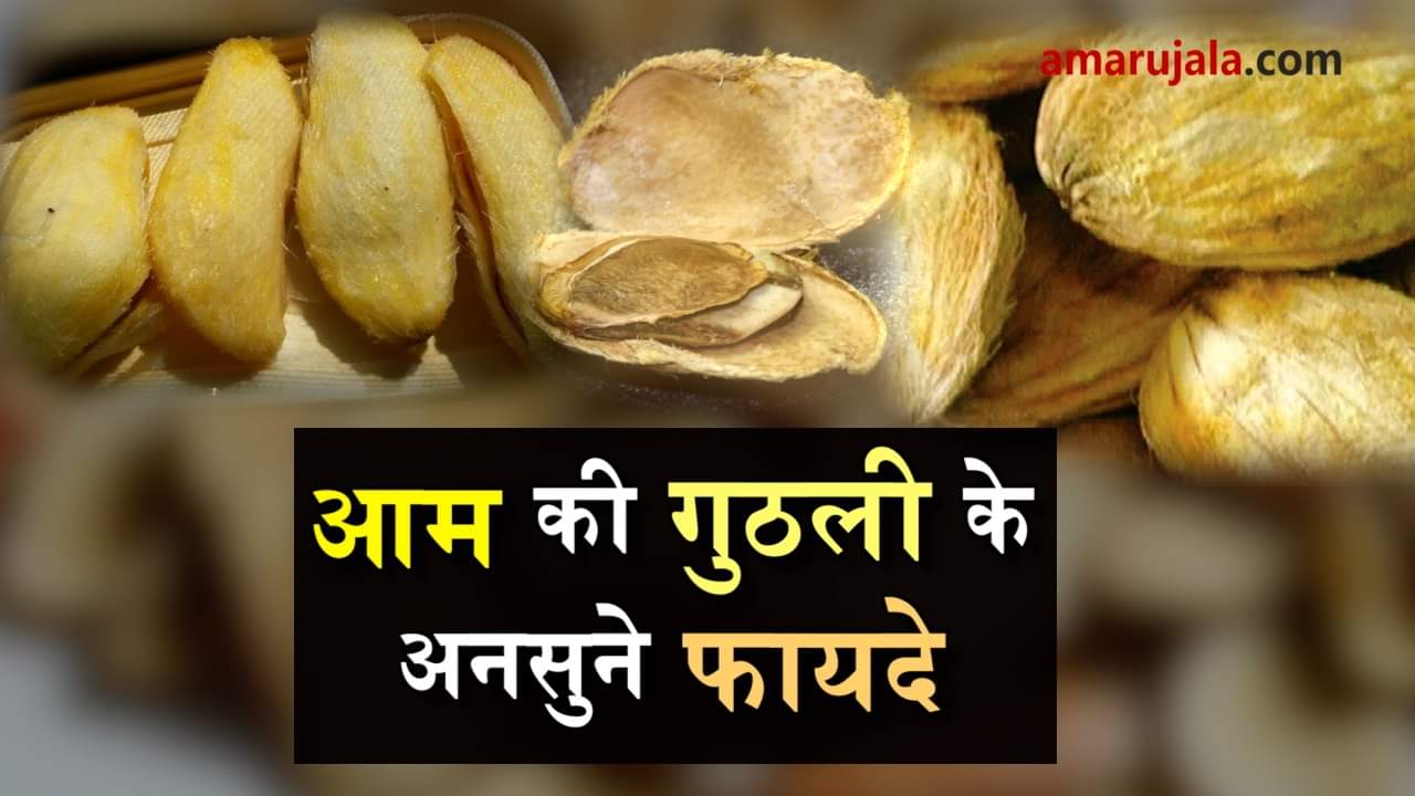 benefits of mango seeds