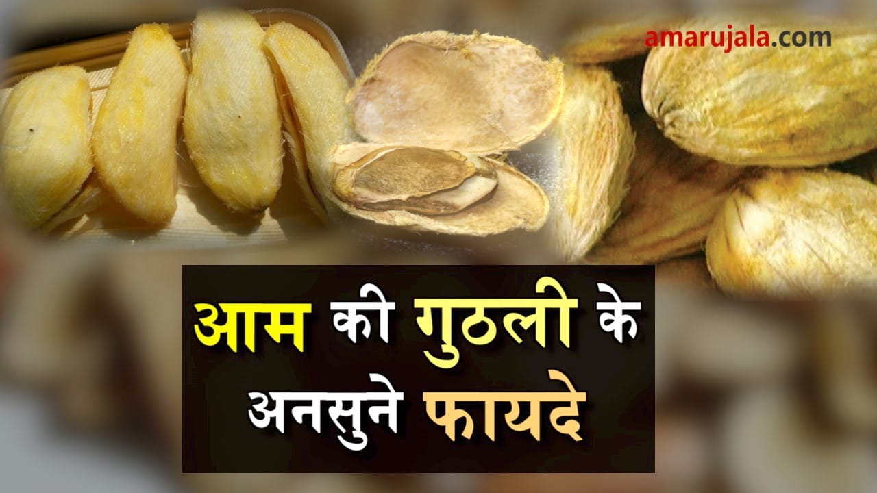 benefits of mango seeds