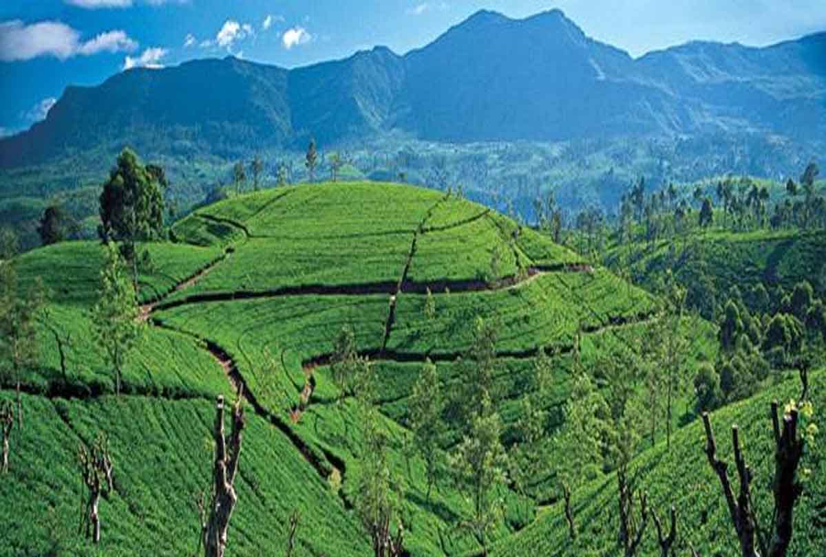 IRCTC travel to Sri Lanka, know about Tour Package
