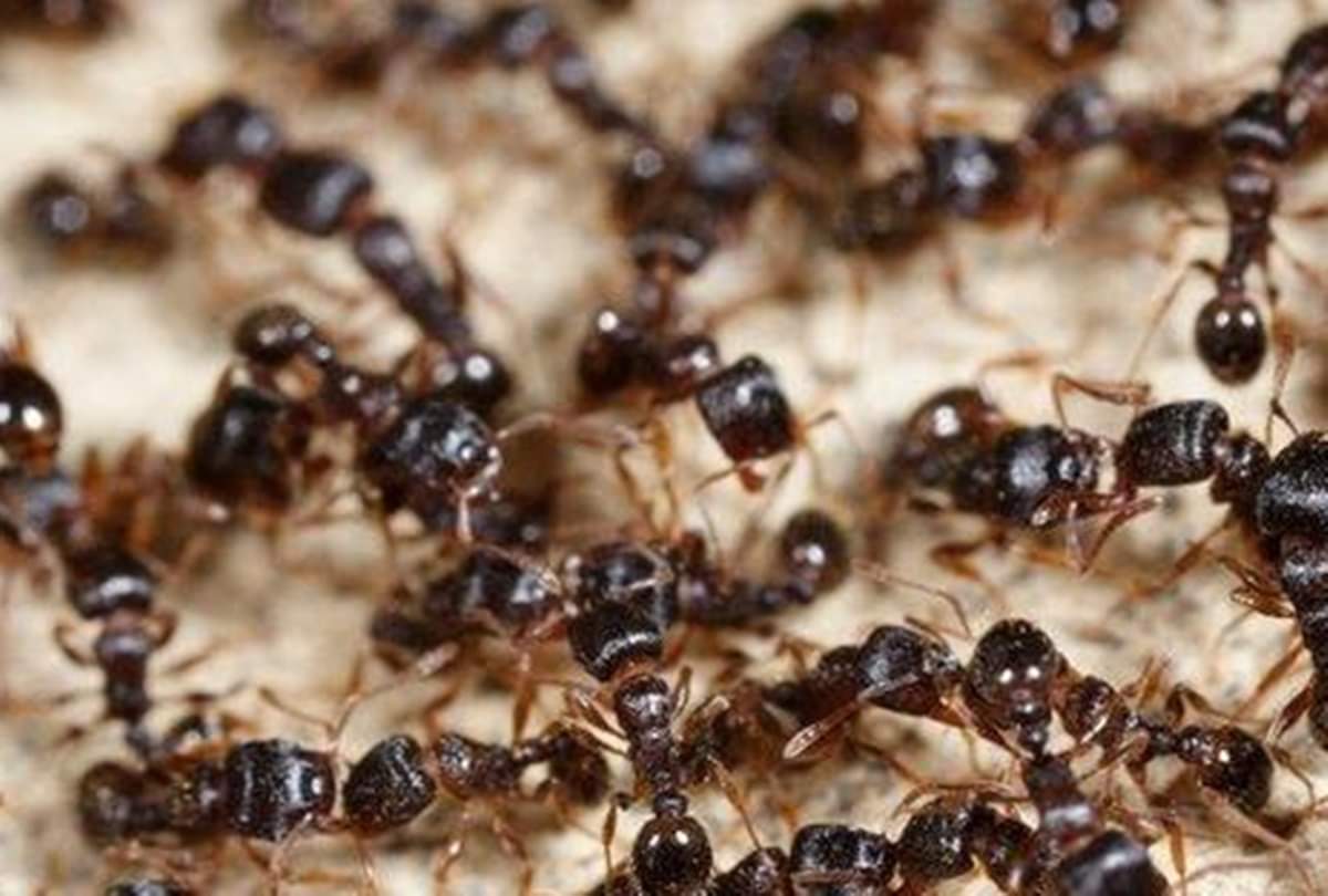 These dreams give you warning against bad luck