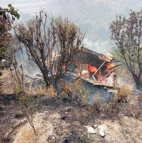 जंगल की आग से डेढ़ मंजिला मकान राख