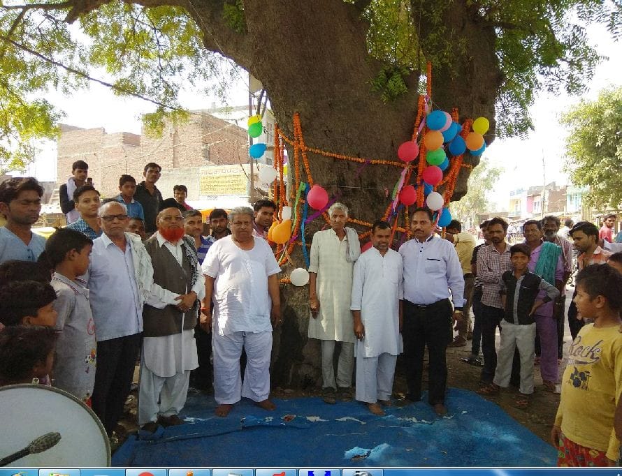 hindu muslims gather for emotional farewell to old neem tree in etah