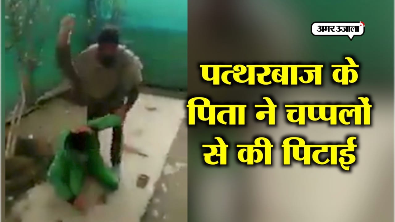 STONE PELTER