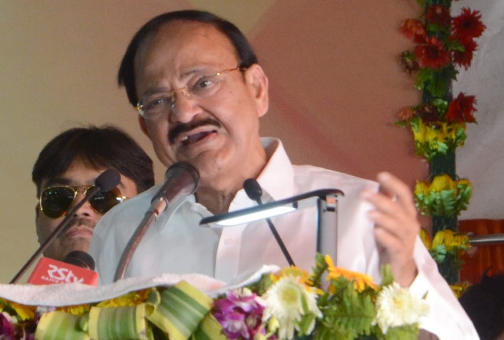 vice president says free power means no power.