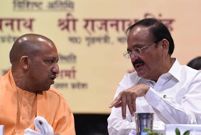 vice president says free power means no power.