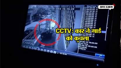 GUARD KILLED IN AGRA AFTER CAR RUNS OVER HIM