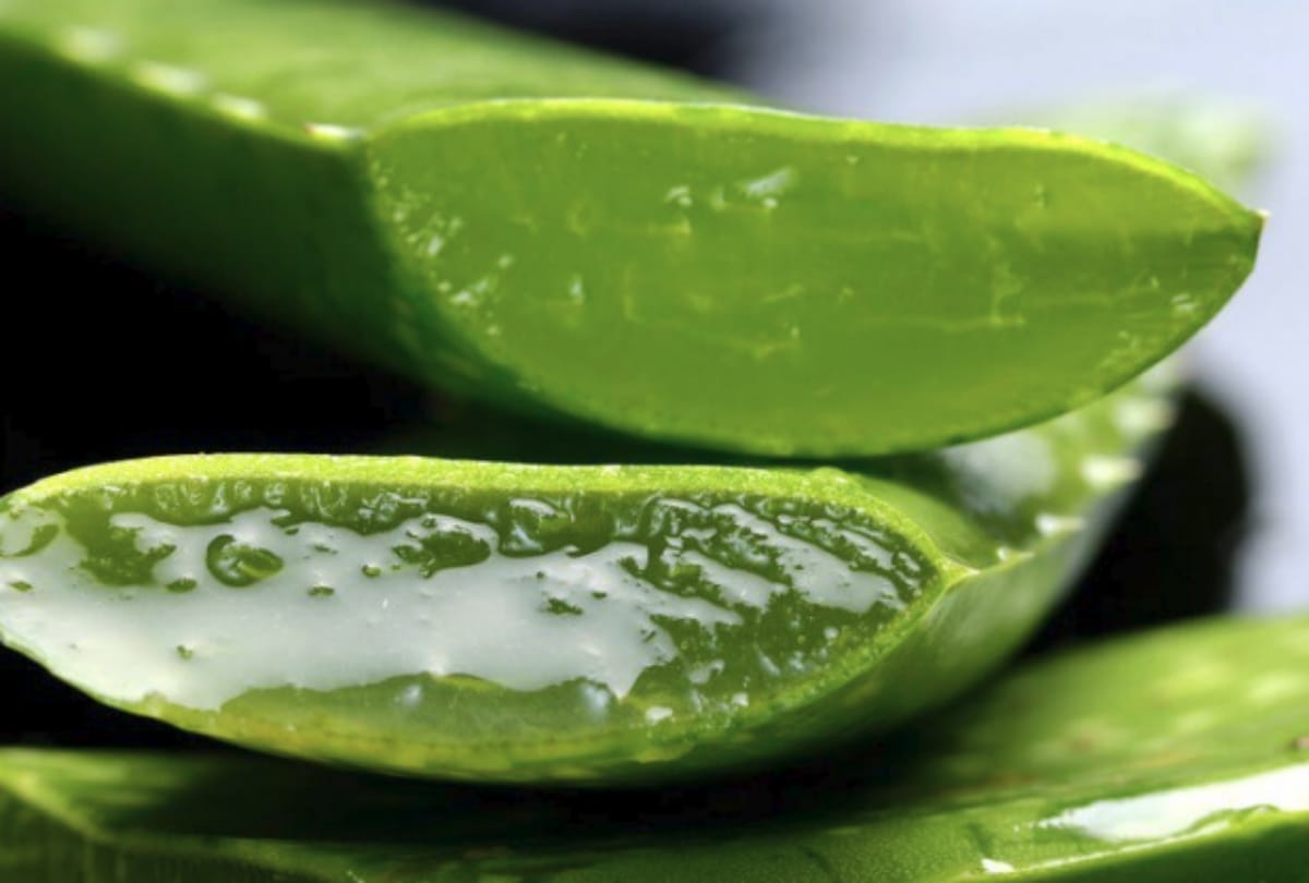 Hair Care how to do keratin at home homemade keratin hair mask