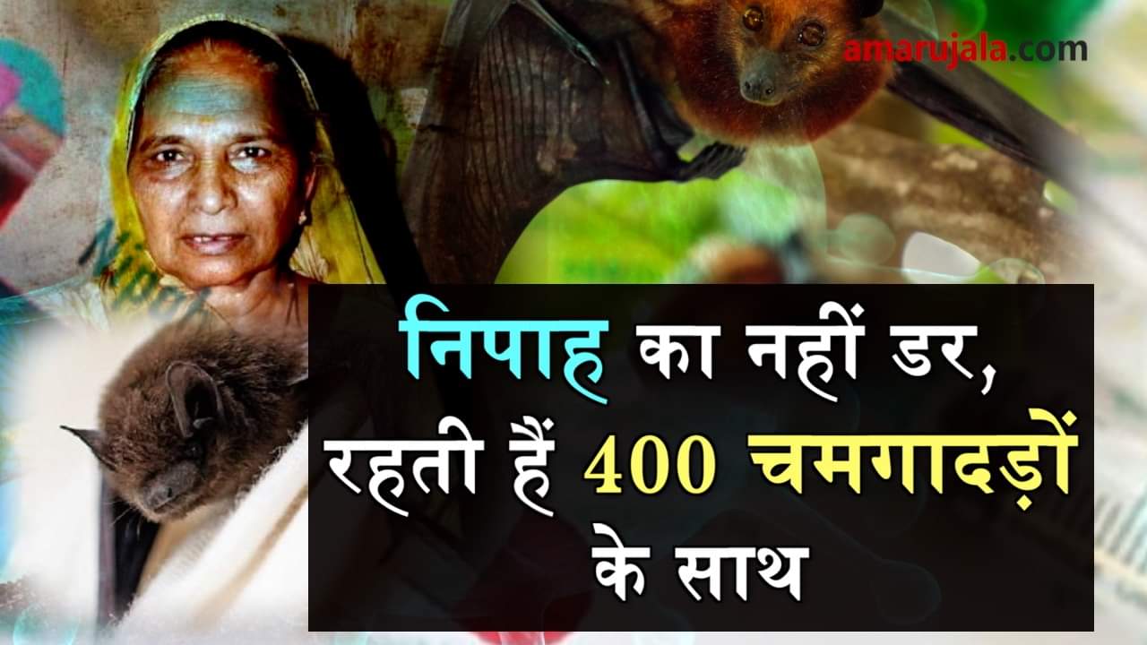 nipah case: an old woman lives with bat in gujrat