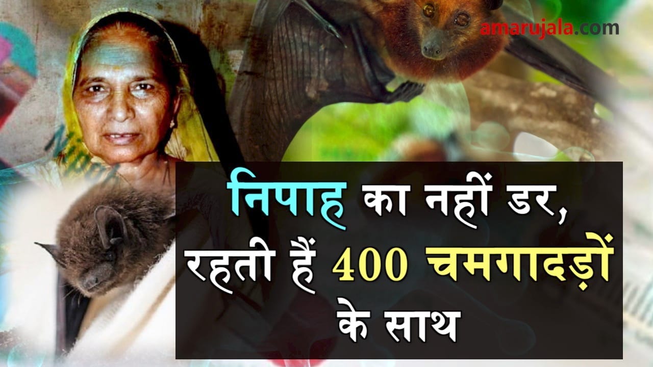 nipah case: an old woman lives with bat in gujrat