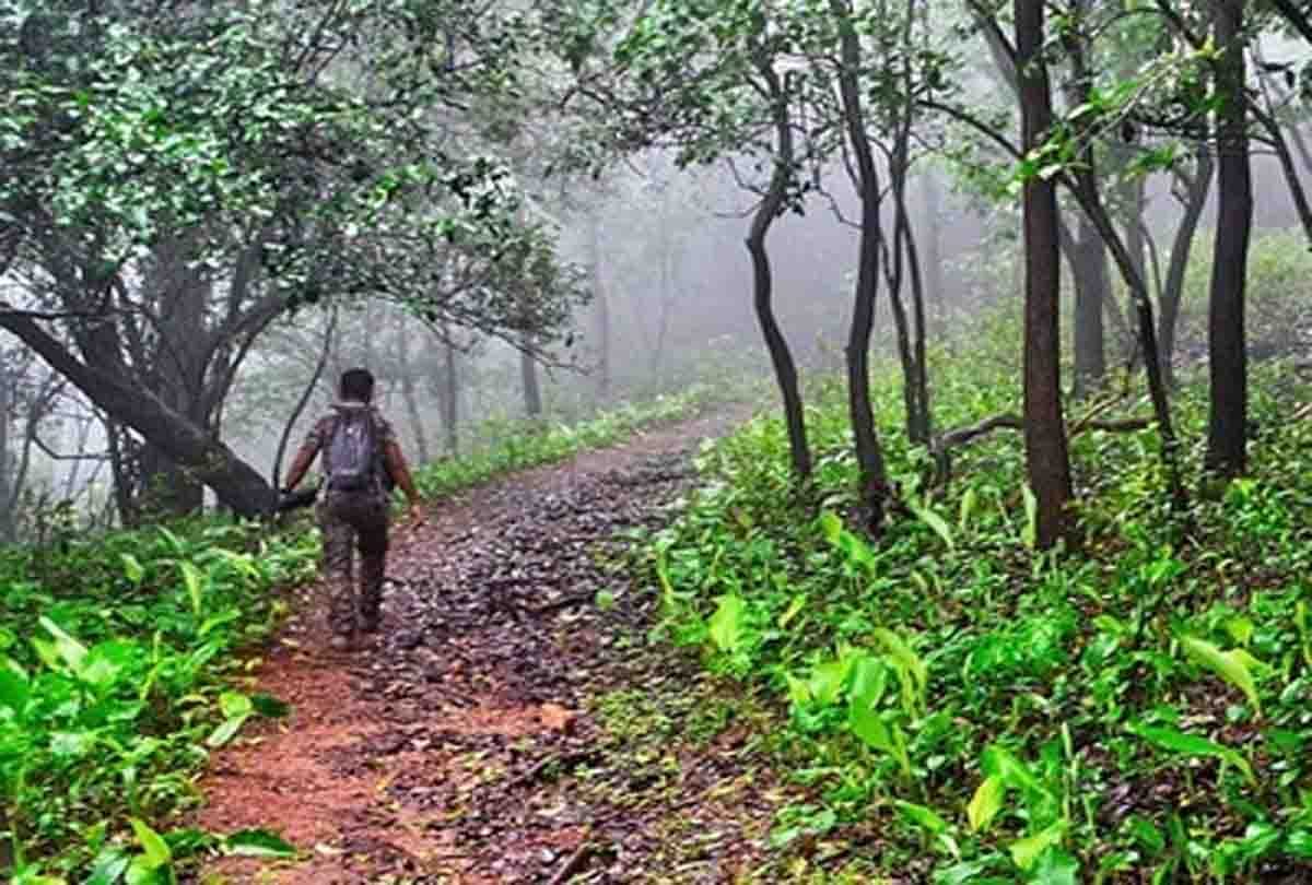 Dacoit Gauri demands 50 thousand instead of tendu leaves