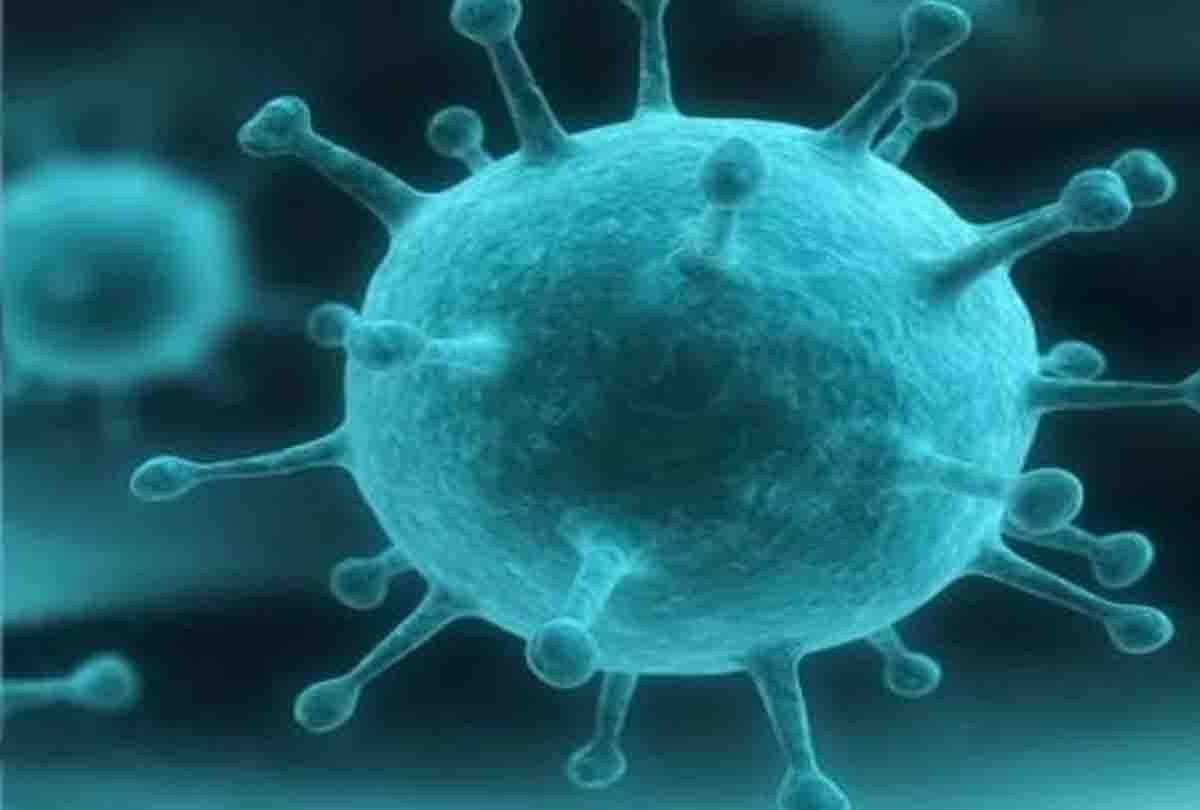 Nipah Virus is more dangerous than swine flu