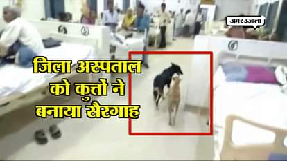 DOG ROAMING IN HARDOI DISTRICT HOSPITAL AUTHORITIES TAKING NO ACTION