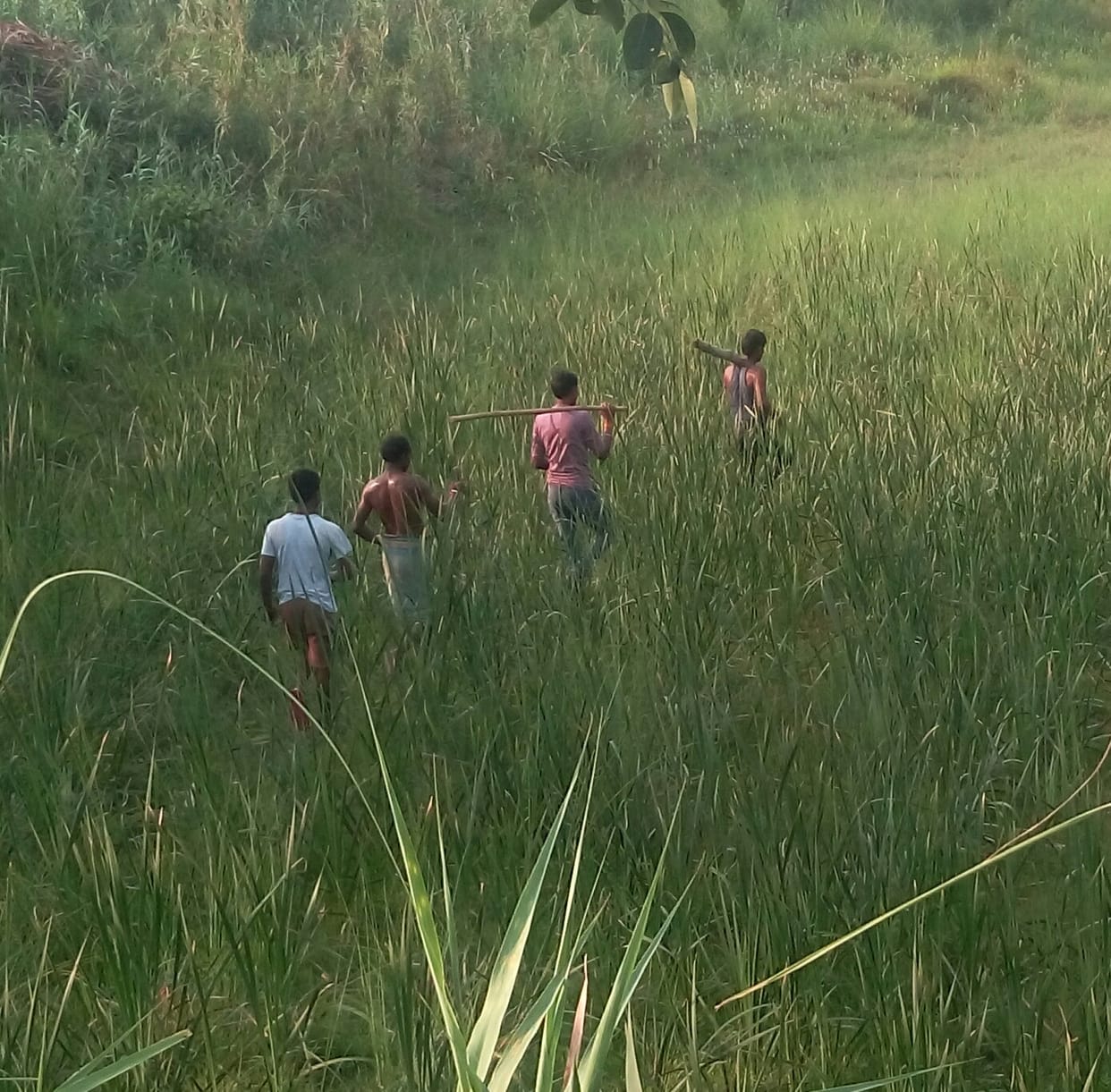 People from the villages passing through the fear of the Janarwar