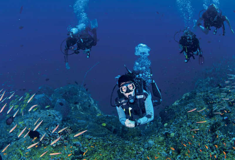 Scuba diving in tehri lake festival 2018 people see ruins of city