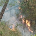 world bank appreciate himachal pradesh efforts to douse fire of forests