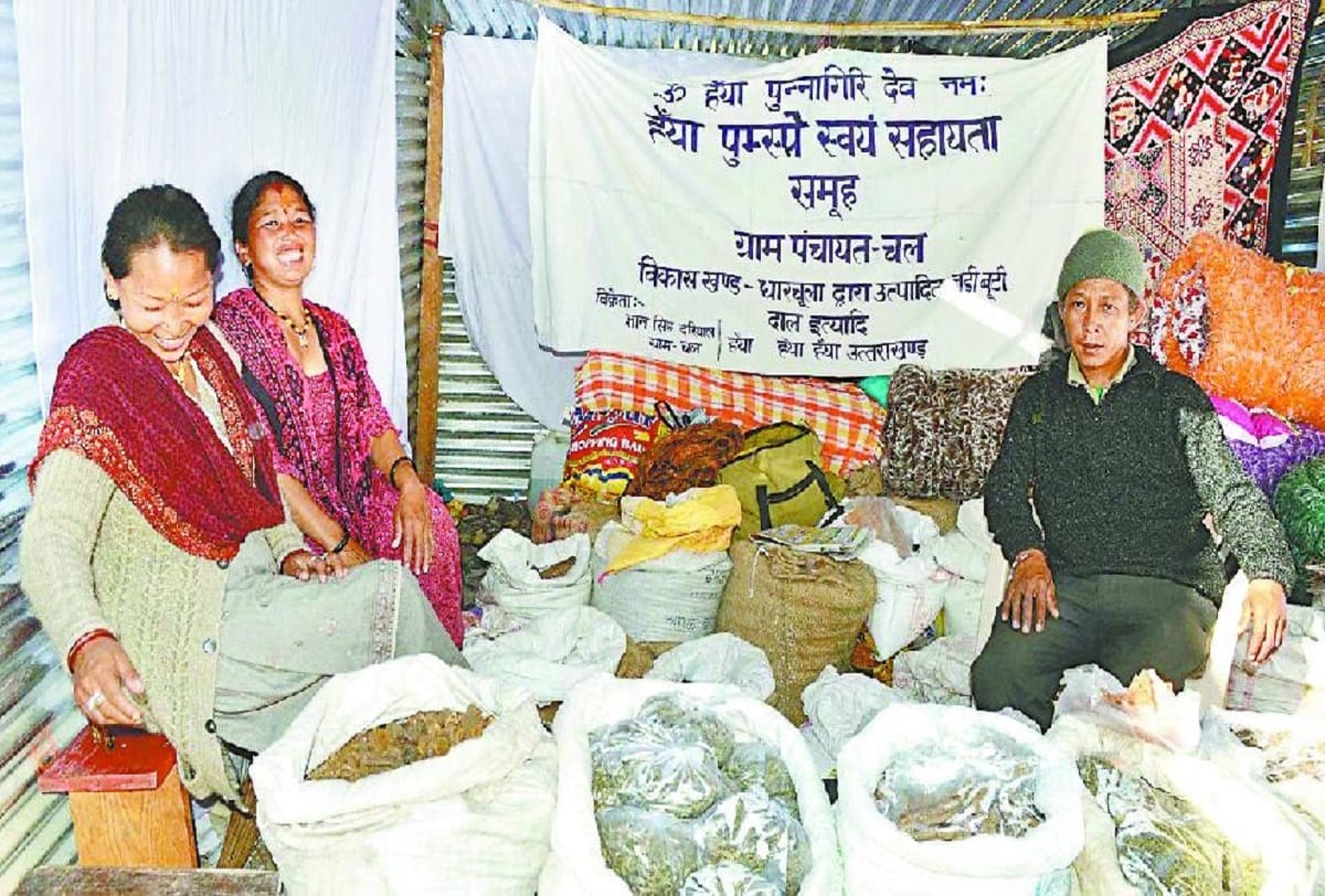 farmers in uttrakhand minting money by growing herbal medicine plants
