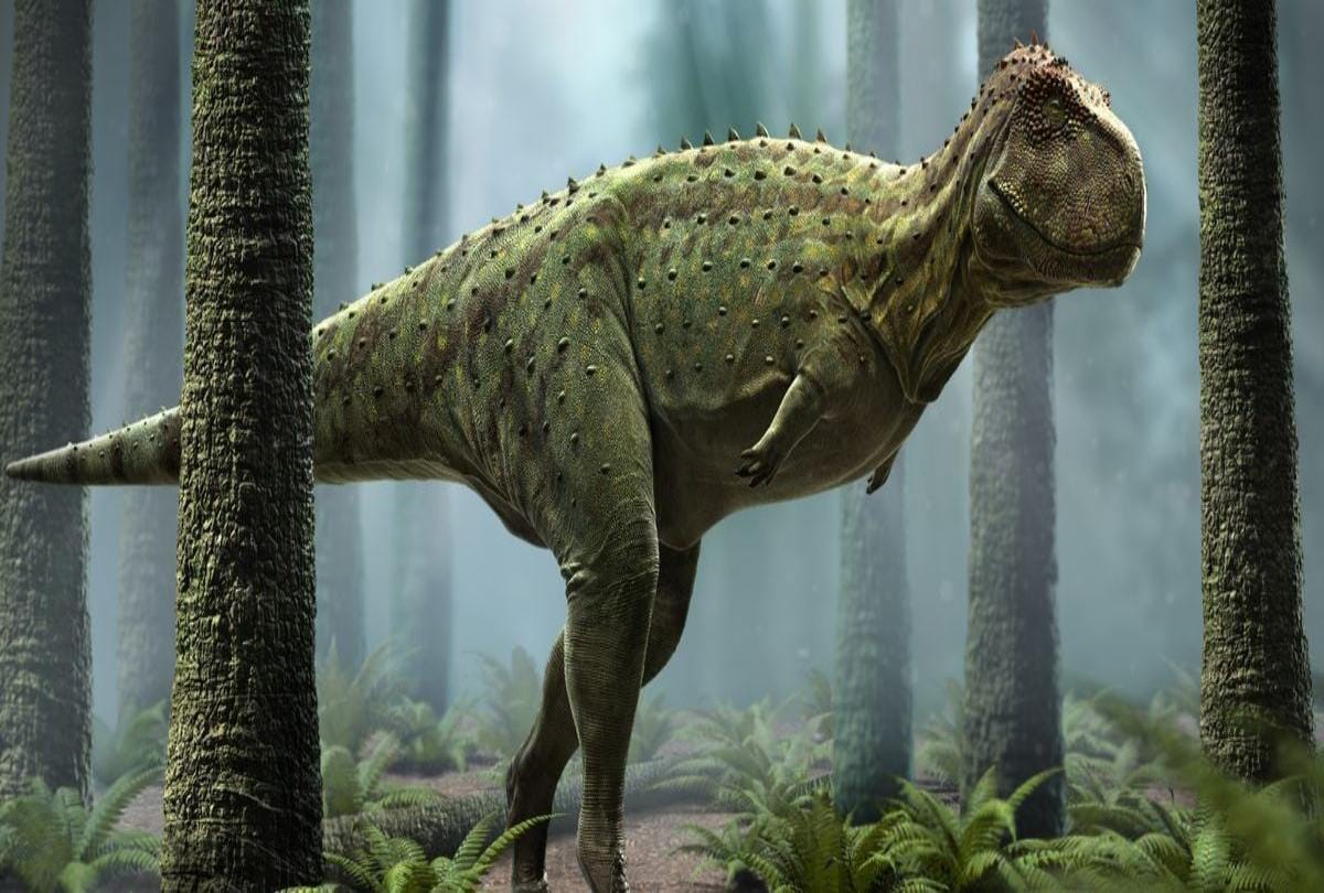 video being viral of a dinosaur seen in rajasthan 
