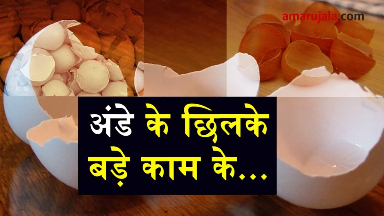  benefits of egg shell