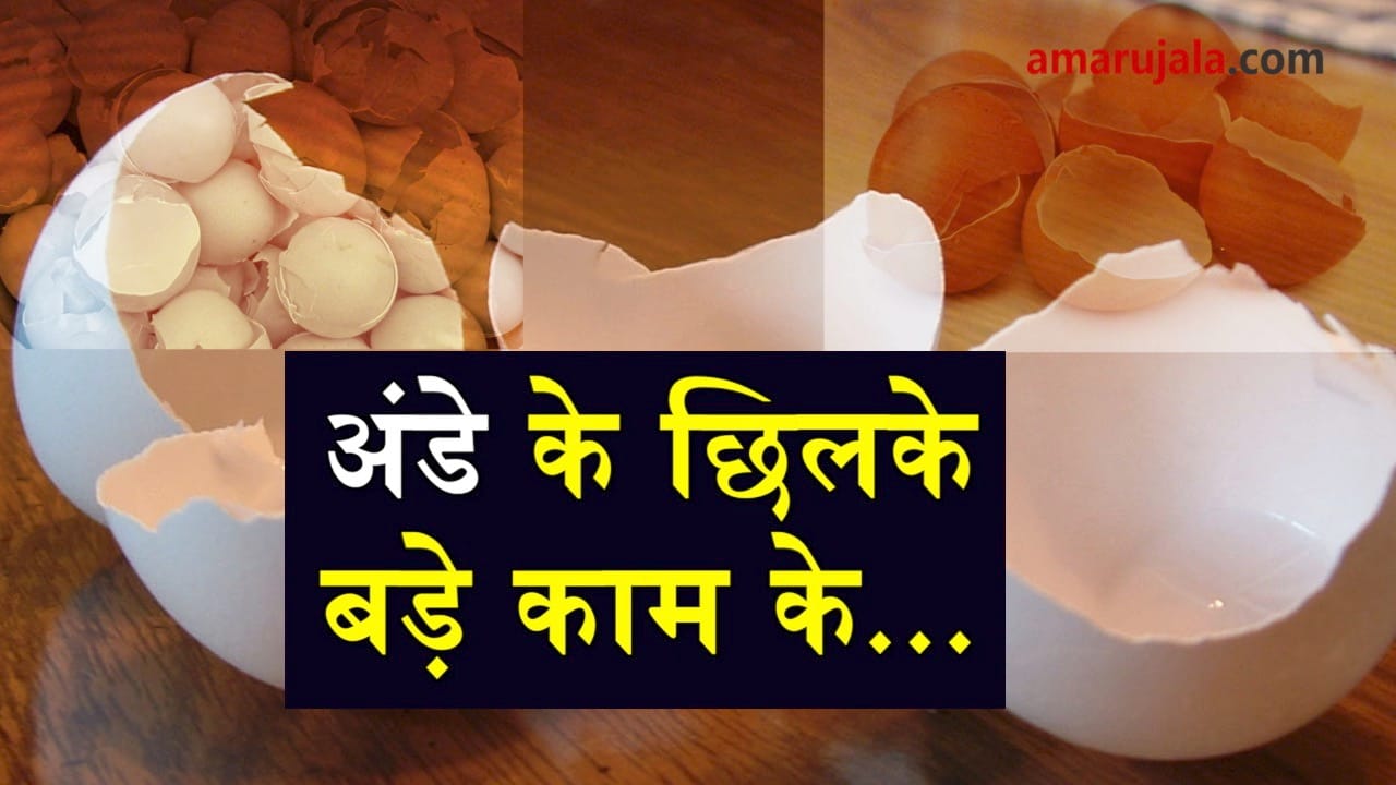  benefits of egg shell
