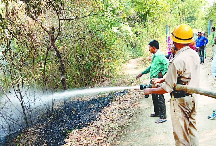 धू-धू जले हमीरपुर जिला के जंगल