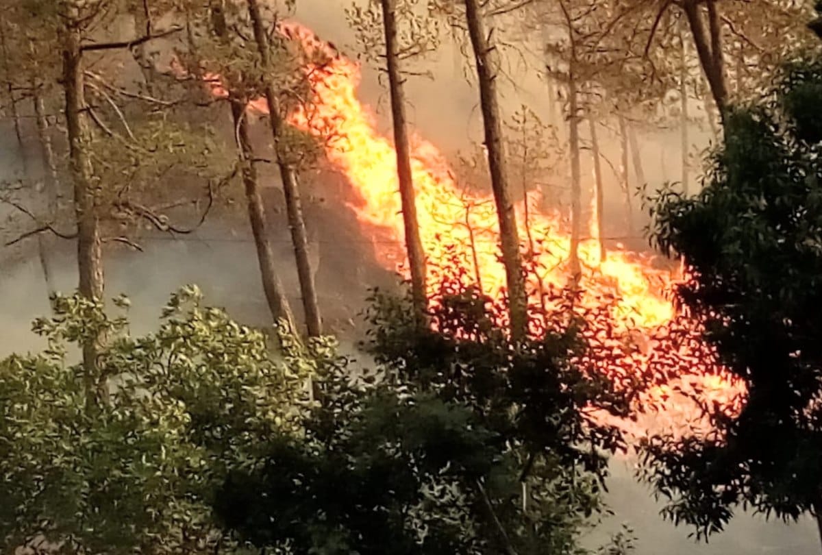 Massive Fire in Forests of Himachal Pradesh