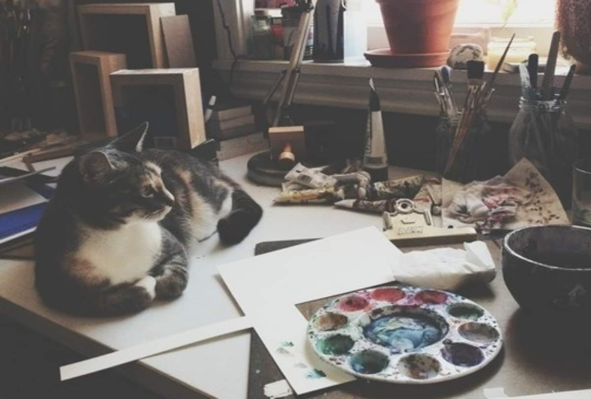 when a cat keeps walking into your house it is a symbol of bad luck