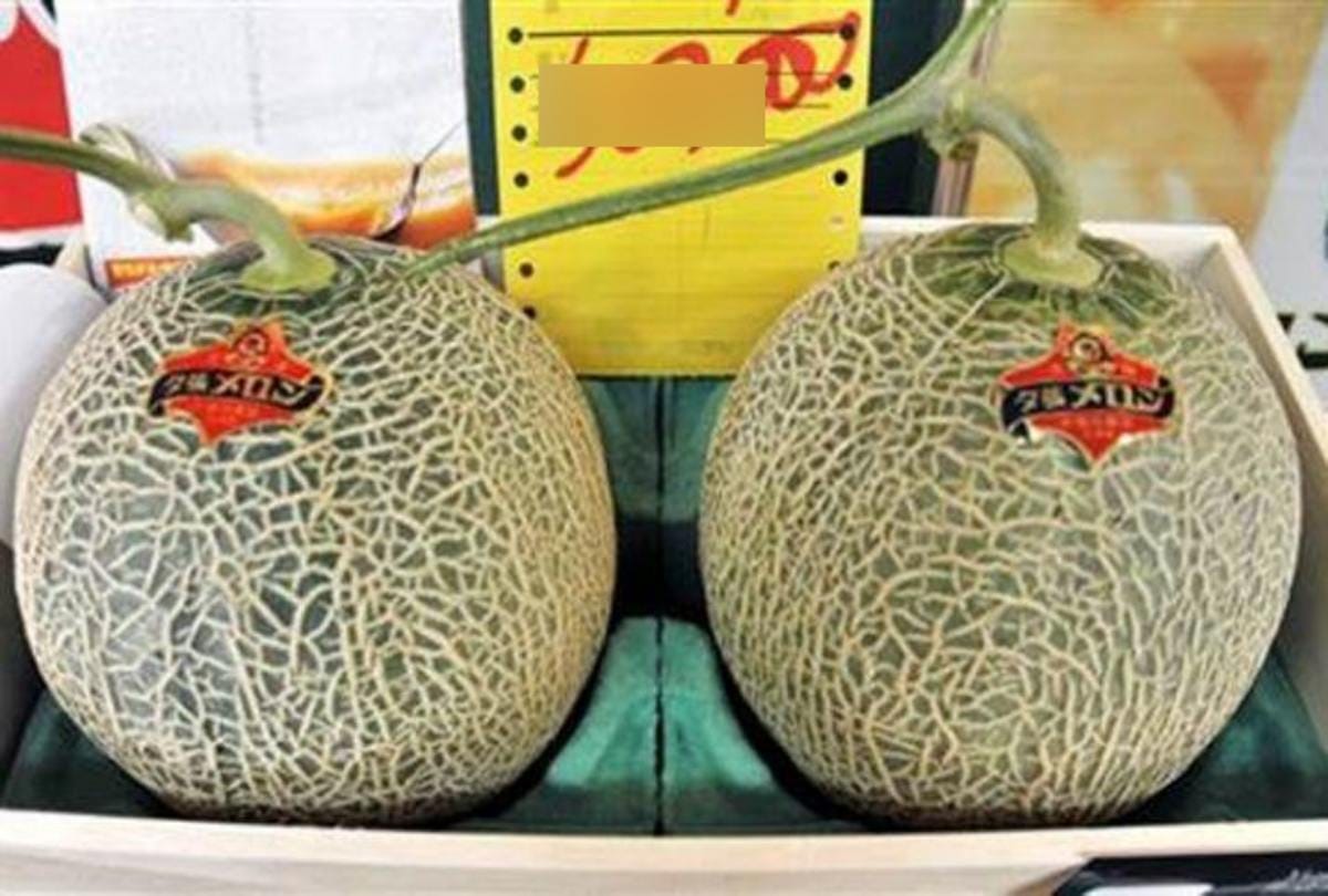 Japan two watermelons sold at 18 lakh rupees