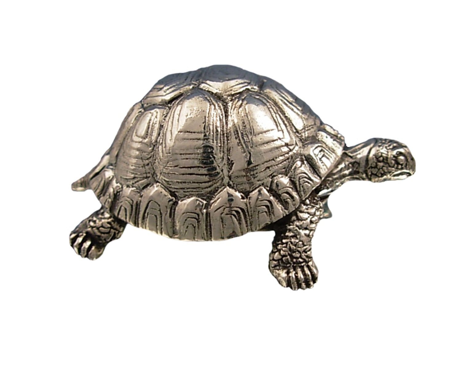 fengshui tips benefits of tortoise in home