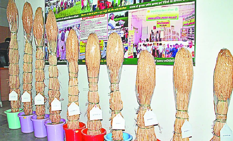 har saal barh baasmati kaa niryaat
