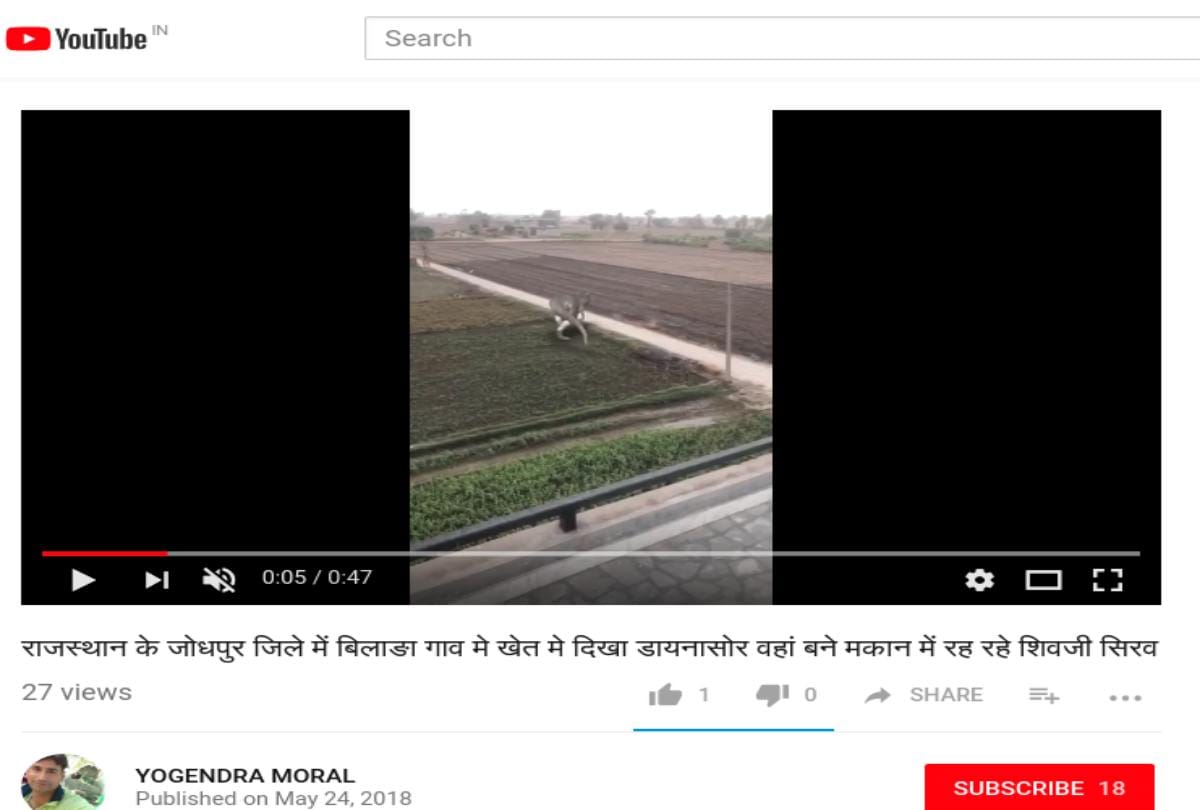 video being viral of a dinosaur seen in rajasthan 