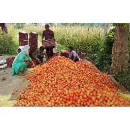 bad day came for farmers
