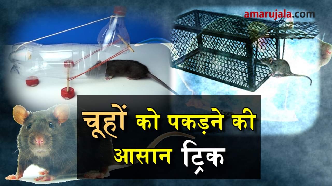 प्रतीकात्मक तस्वीर