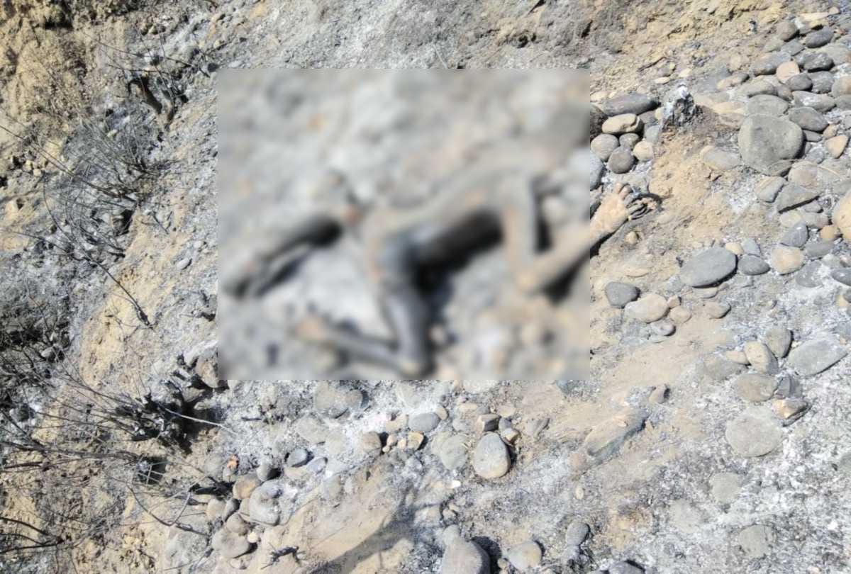 four people burnt to death  including forest deputy ranger in forest fire