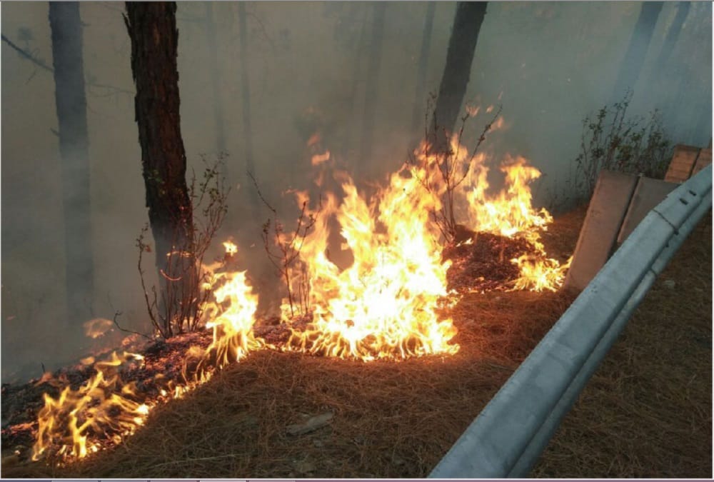 wildfire Broke in corbett national park and market or residential area