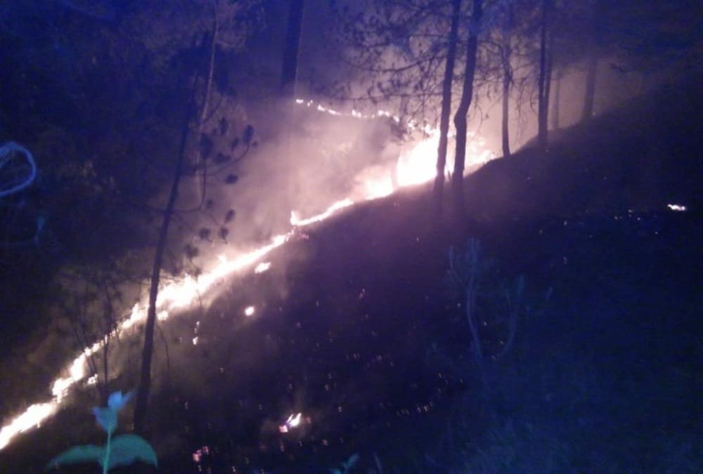 wildFire in uttarakhand increased with Hot Weather