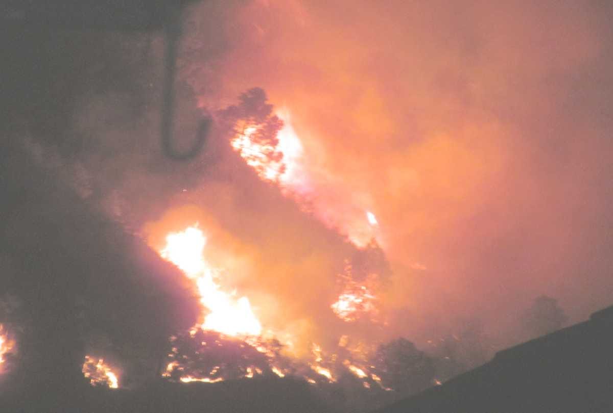 four people burnt to death  including forest deputy ranger in forest fire