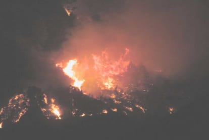 forest minister govind thakur pc regarding forest fire in himachal