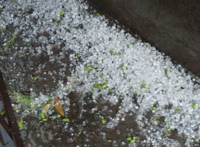 One Man killed during Thunderstorm and rain in uttarakhand almora