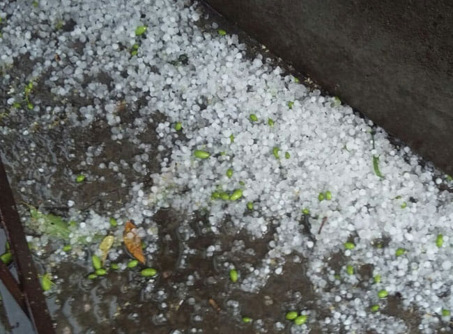 One Man killed during Thunderstorm and rain in uttarakhand almora
