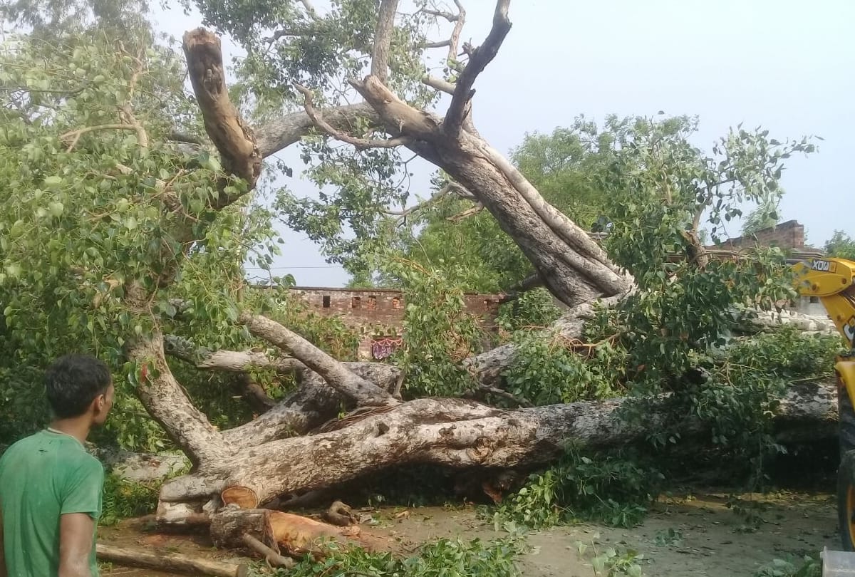 heavy rainfall and storm in uttar pradesh