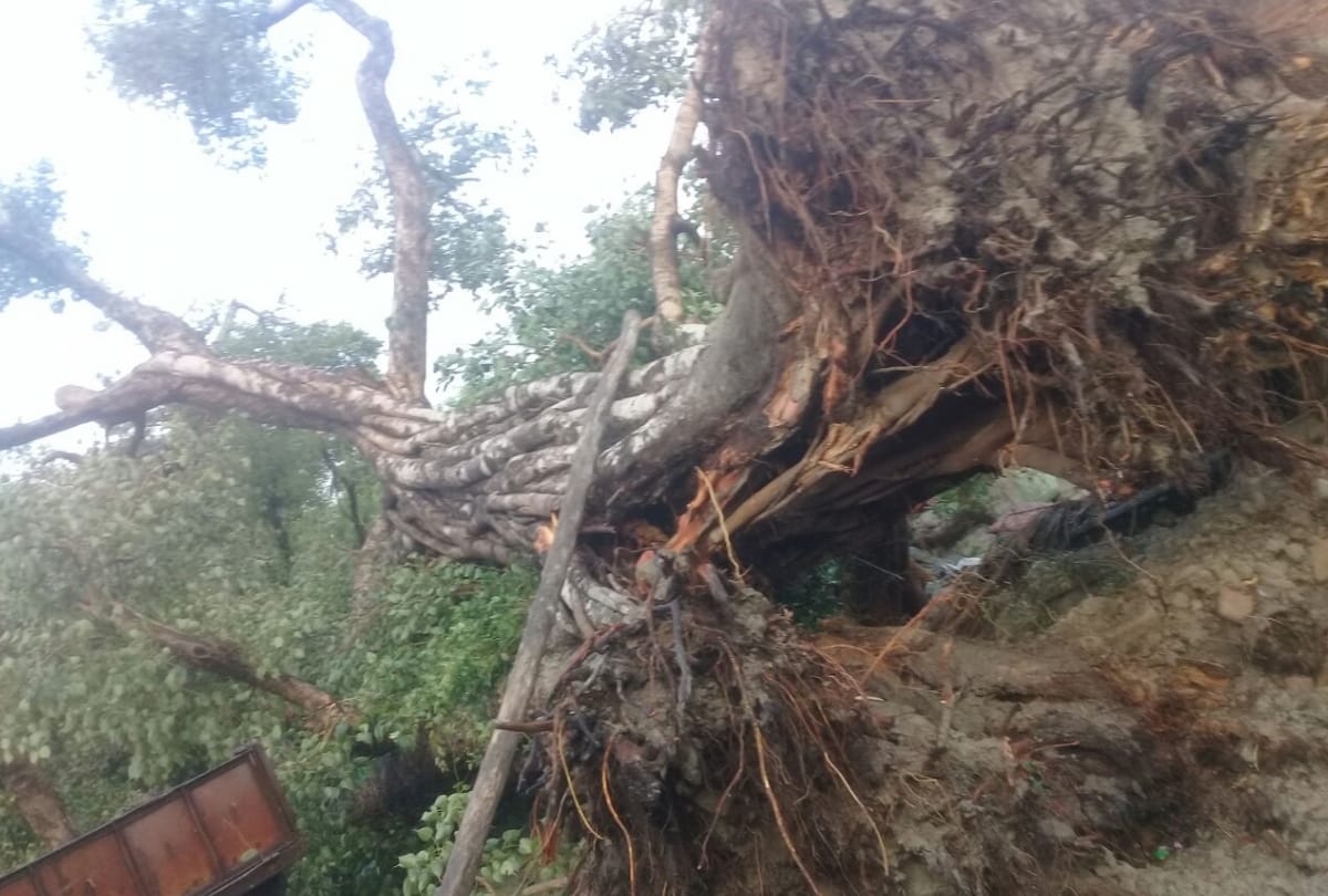 heavy rainfall and storm in uttar pradesh