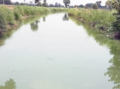 The farmer happy to see the water in the canal in fatehpur