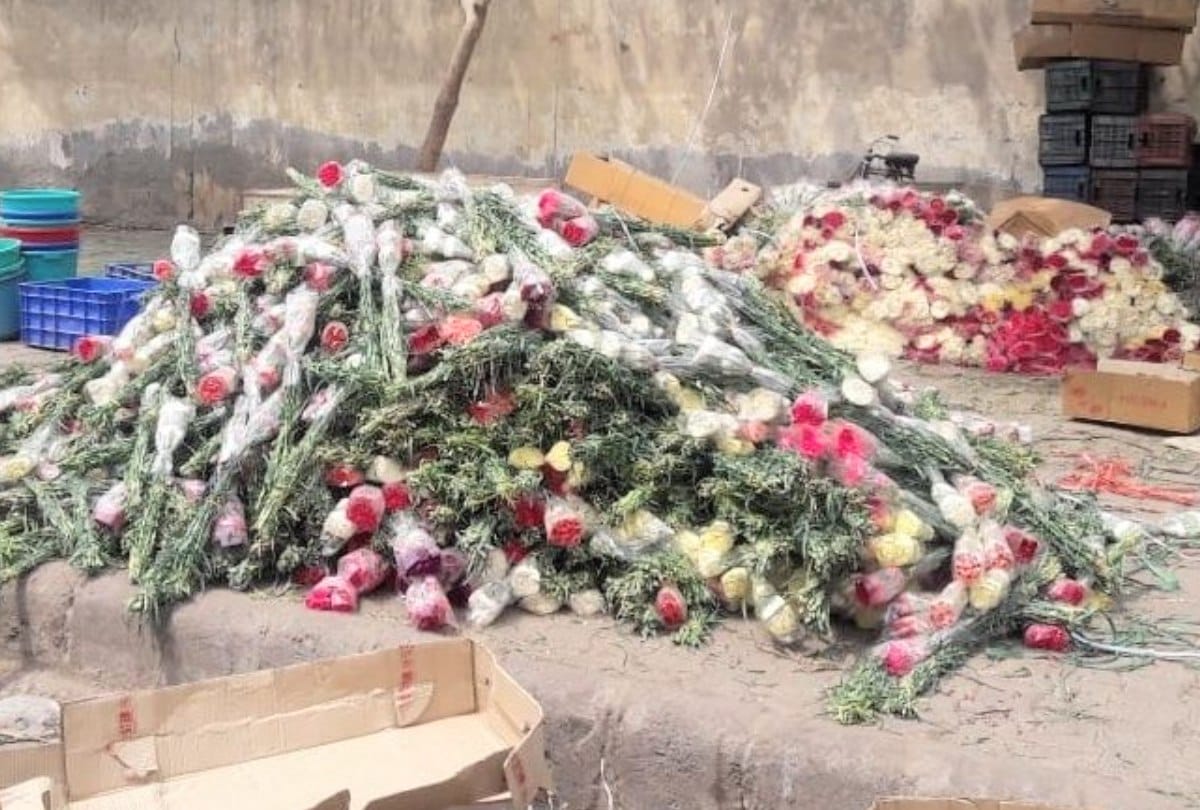 china artificial flowers make loss to farmers of himachal pradesh