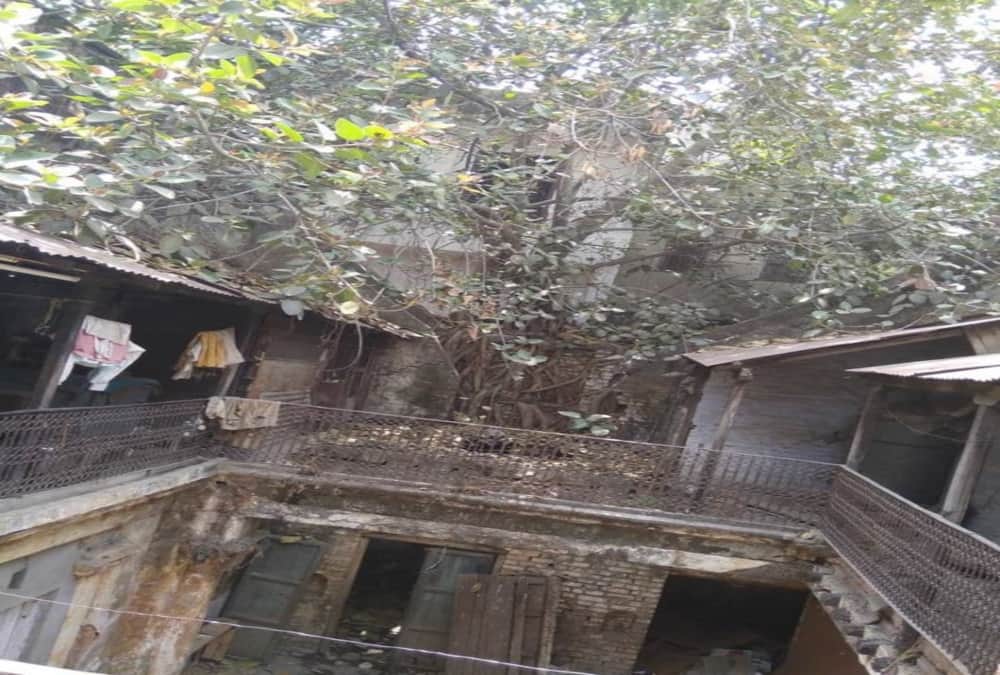  Old lady dead body found in house after four day of death in roorkee