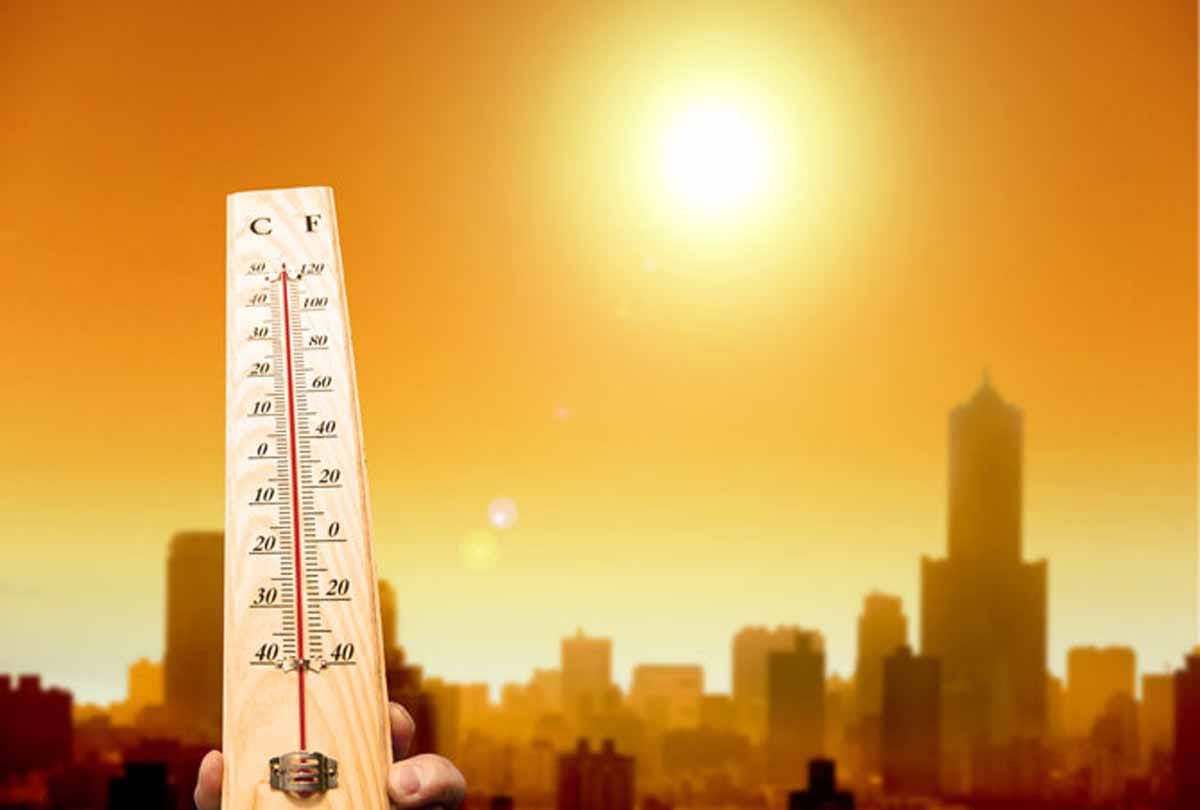 Five death in heat wave