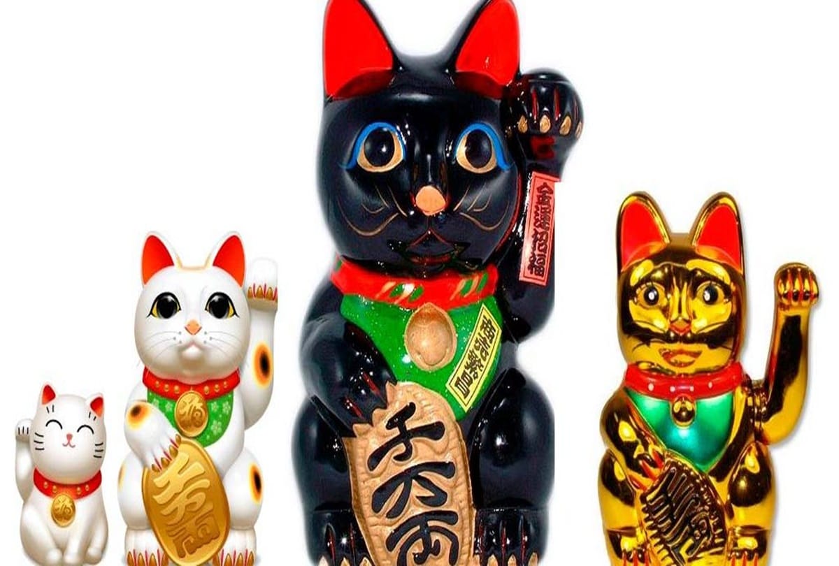 feng shui vastu tips story of lucky cat