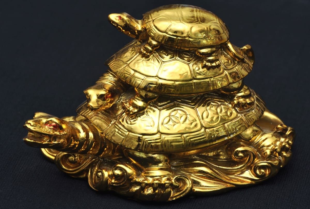 feng shui vastu tips Keep these items of Feng Shui at home happiness comes prosperity and wealth