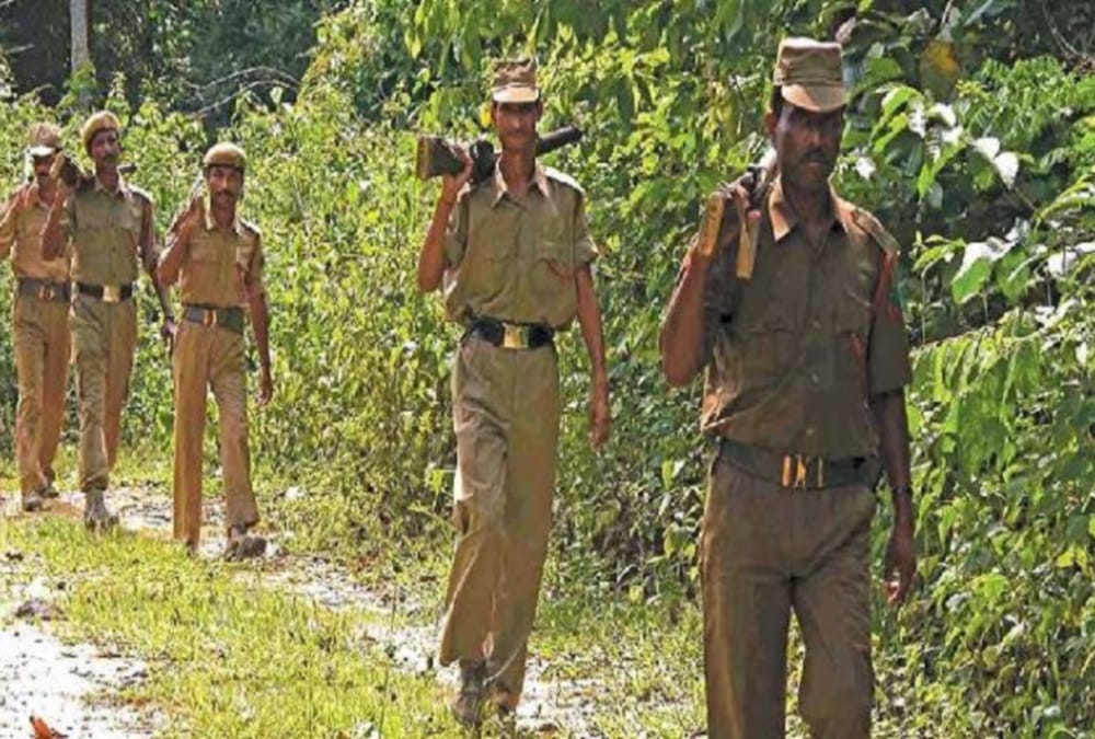  Job offer in forest department for 12th pass youths in uttarakhand
