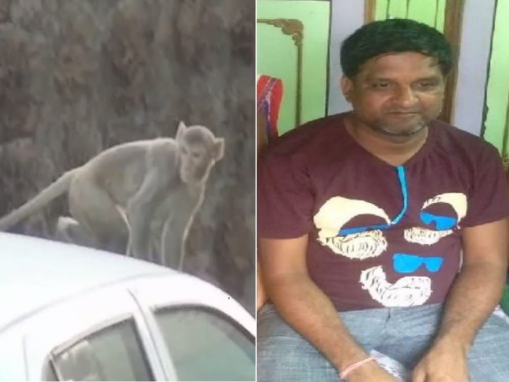 monkey snatched cash from jeweler outside bank